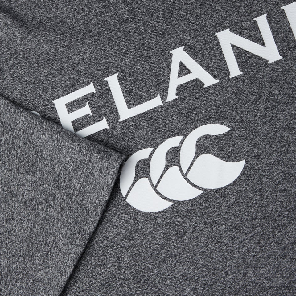 Mens Ireland Cotton Logo Tee Grey