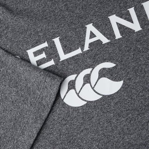 Mens Ireland Cotton Logo Tee Grey