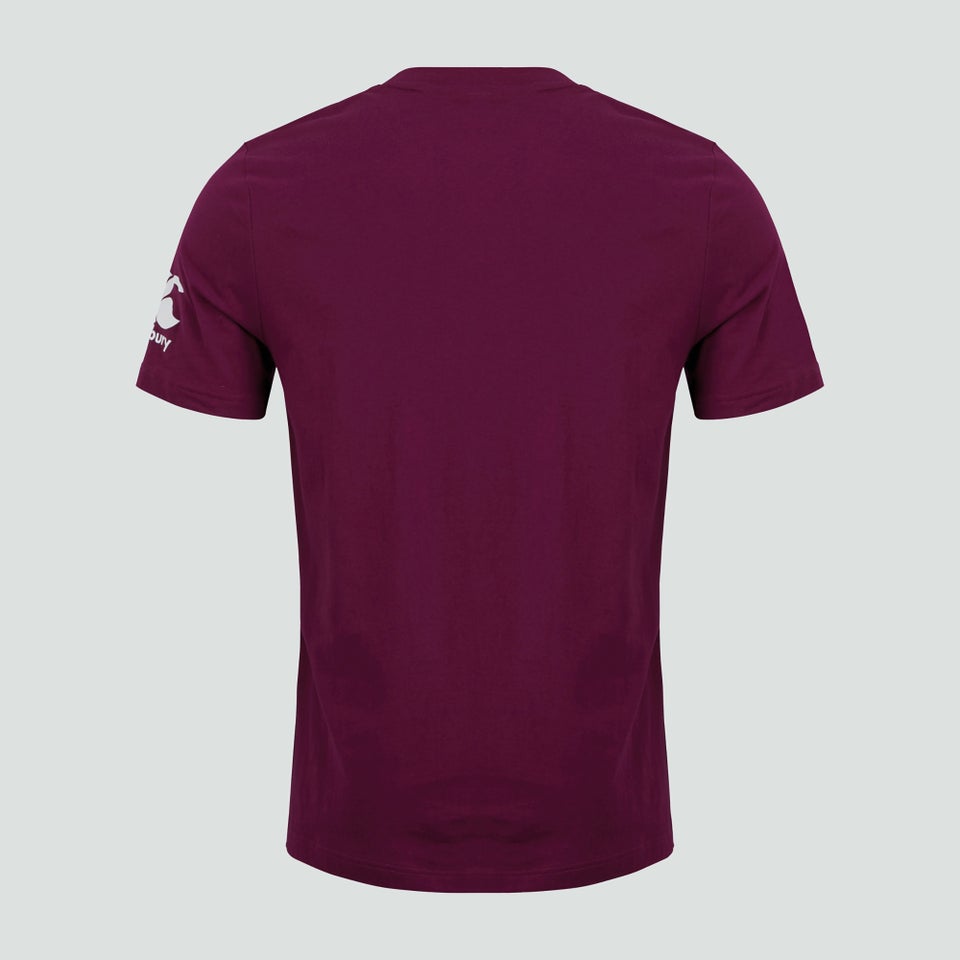Mens Ireland Crest Logo Tee Purple