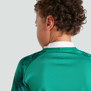 Junior Unisex Ireland Vapodri Home Pro Jersey Green