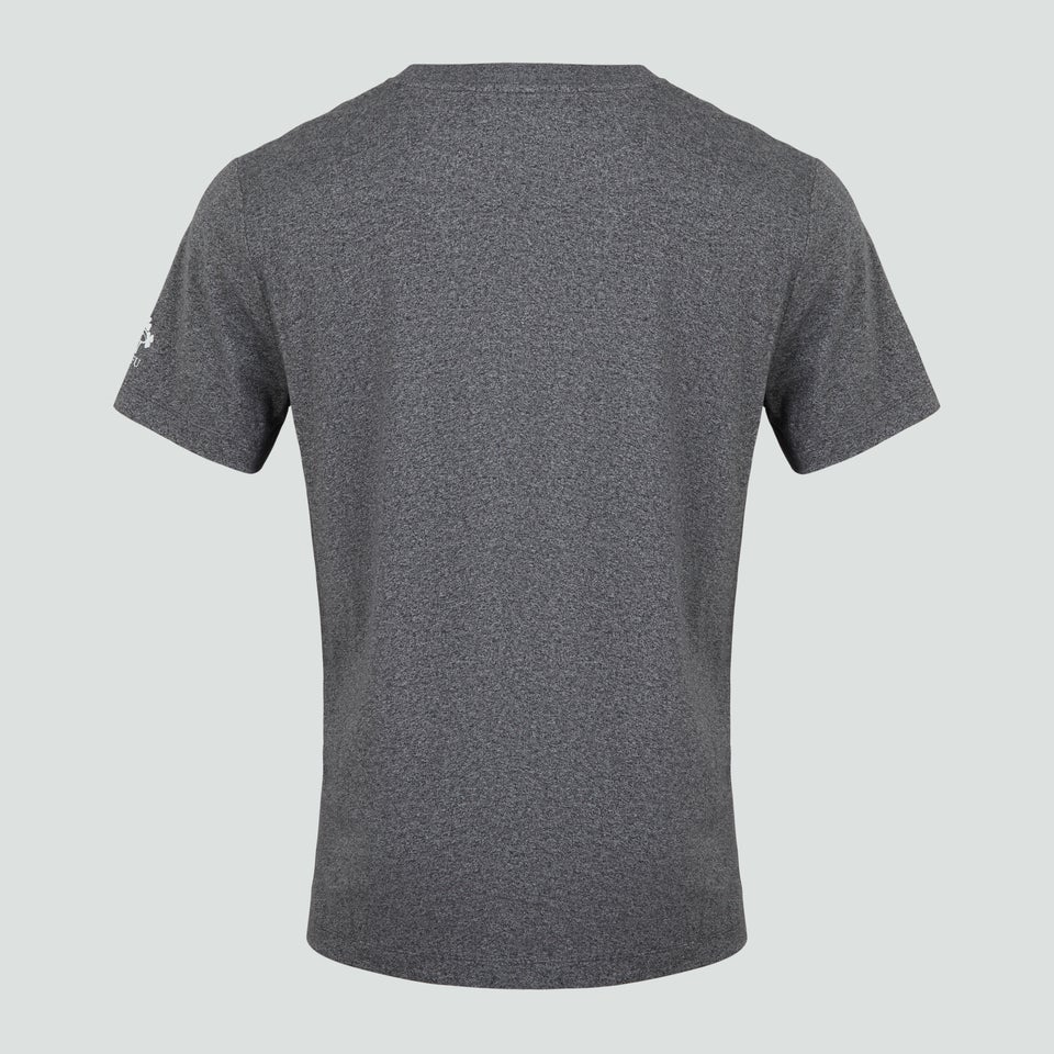Junior Unisex Ireland Cotton Logo Tee Grey