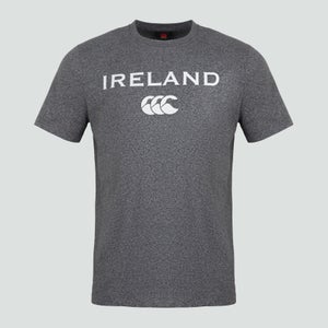 Junior Unisex Ireland Cotton Logo Tee Grey