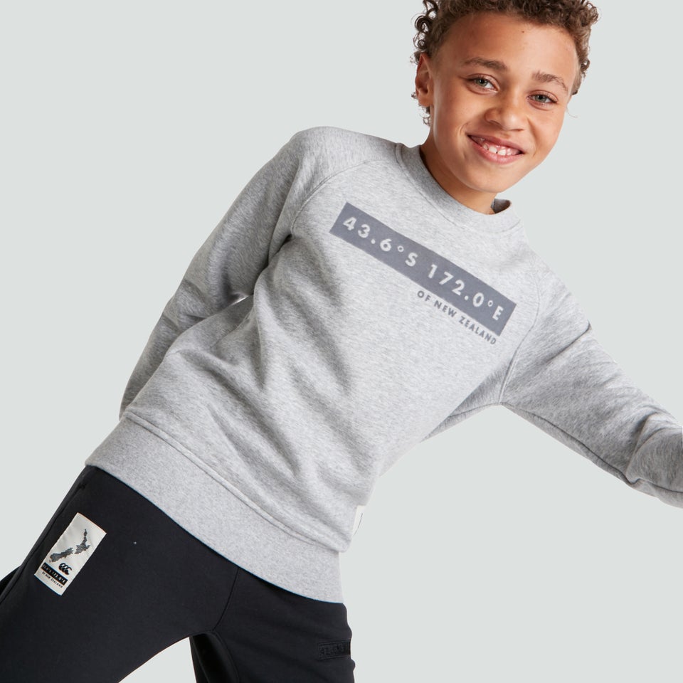 Junior Unisex Sweatshirt Grey