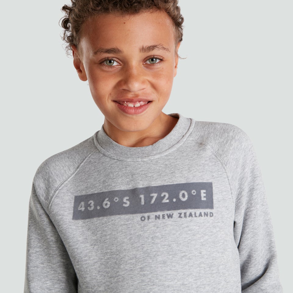 Junior Unisex Sweatshirt Grey