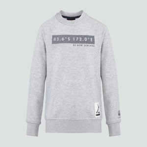 JUNIOR UNISEX SWEATSHIRT GREY - AGE 6