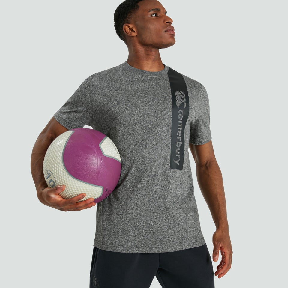 Mens Cotton Tee Grey