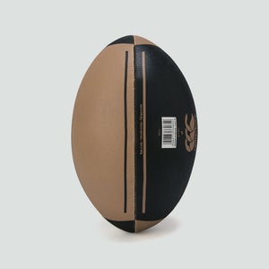 Adult Unisex British & Irish Lions Thrillseeker Retro Ball Brown