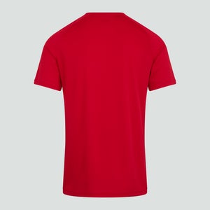 Mens Team Dry T-Shirt Black