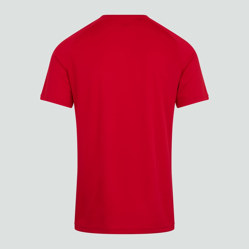 Mens Team Dry T-Shirt Black