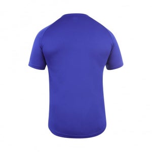 Mens Team Dry T-Shirt Blue