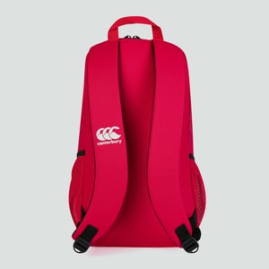 Adult Unisex British & Irish Lions Medium Backpack Red