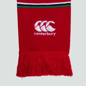 ADULT UNISEX BRITISH & IRISH LIONS SUPPORTERS SCARF RED - ONE SIZE