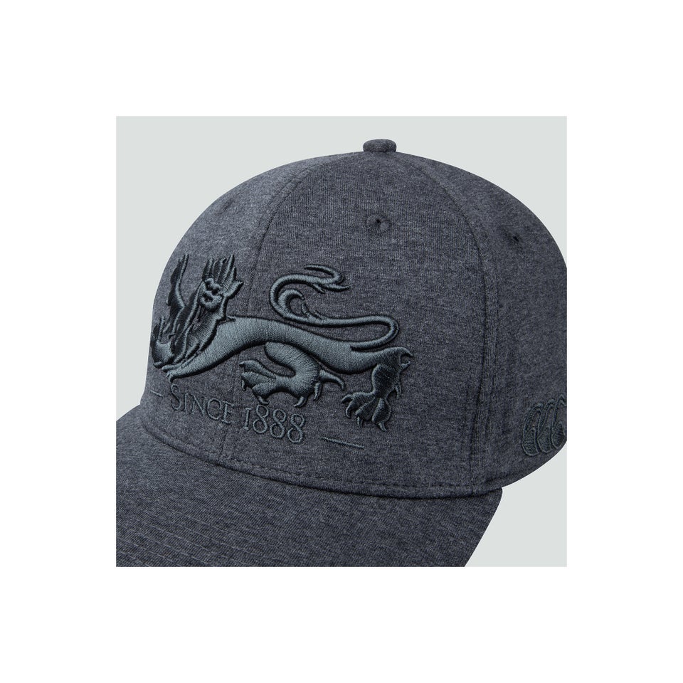 Adults Unisex British & Irish Lions Snapback Cap Grey