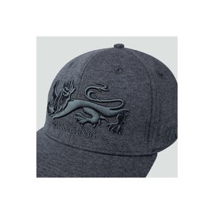Adults Unisex British & Irish Lions Snapback Cap Grey