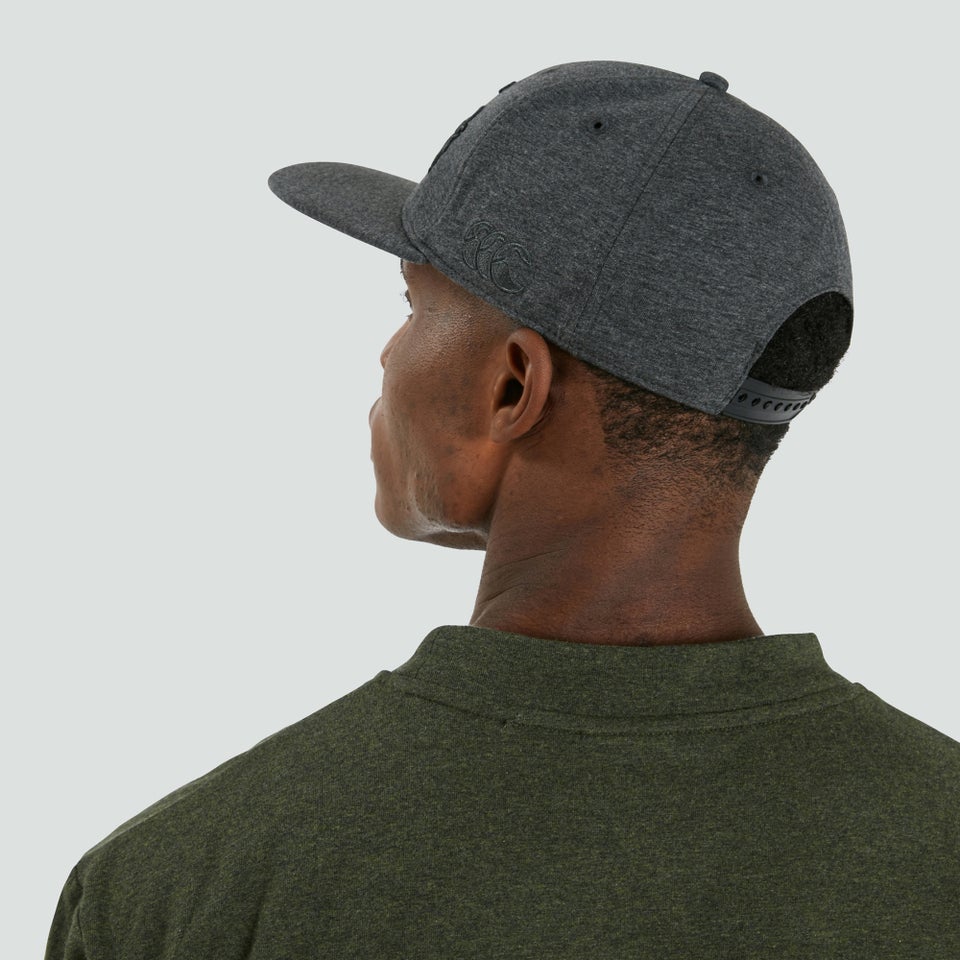 Adults Unisex British & Irish Lions Snapback Cap Grey