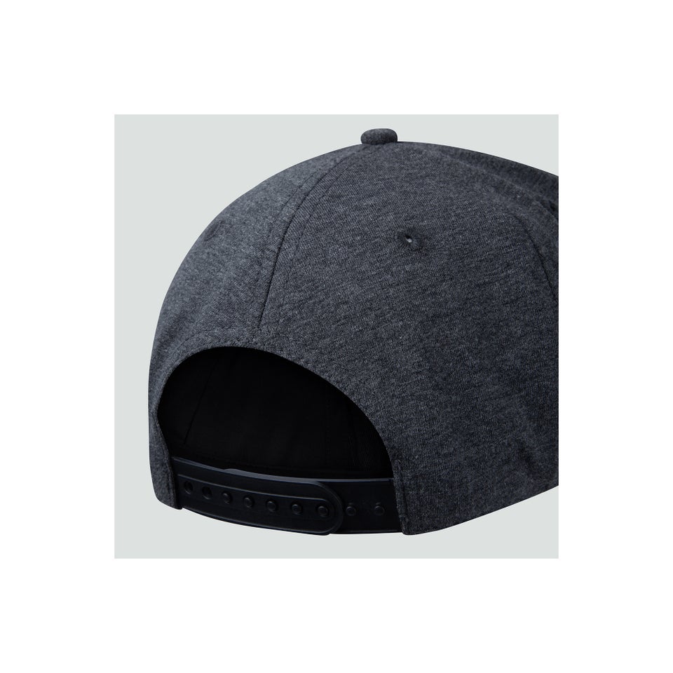 Adults Unisex British & Irish Lions Snapback Cap Grey