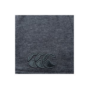 Adults Unisex British & Irish Lions Snapback Cap Grey