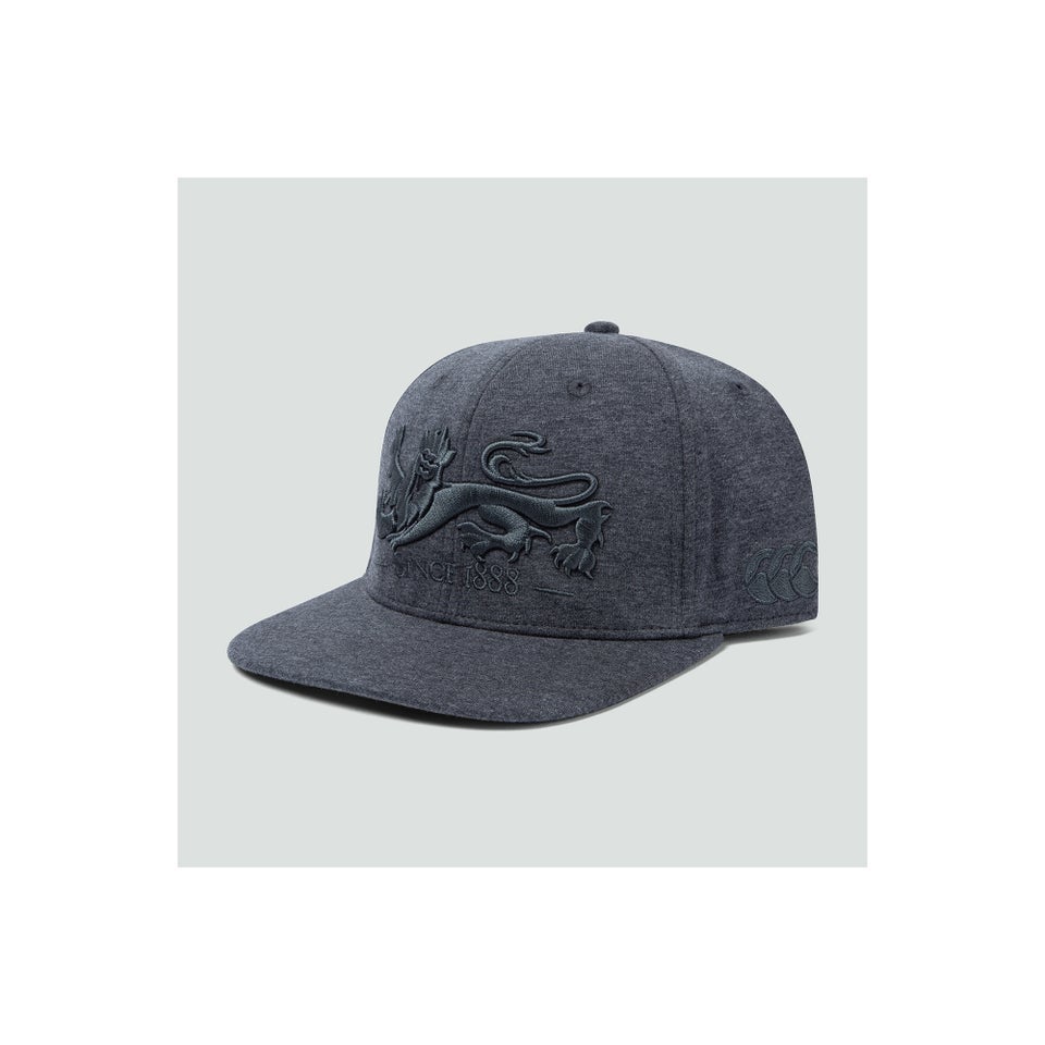 Adults Unisex British & Irish Lions Snapback Cap Grey