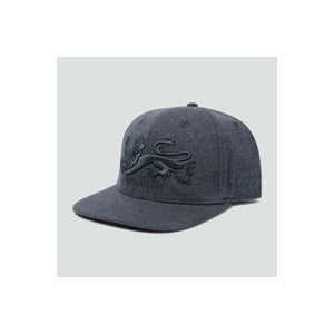 Adults Unisex British & Irish Lions Snapback Cap Grey