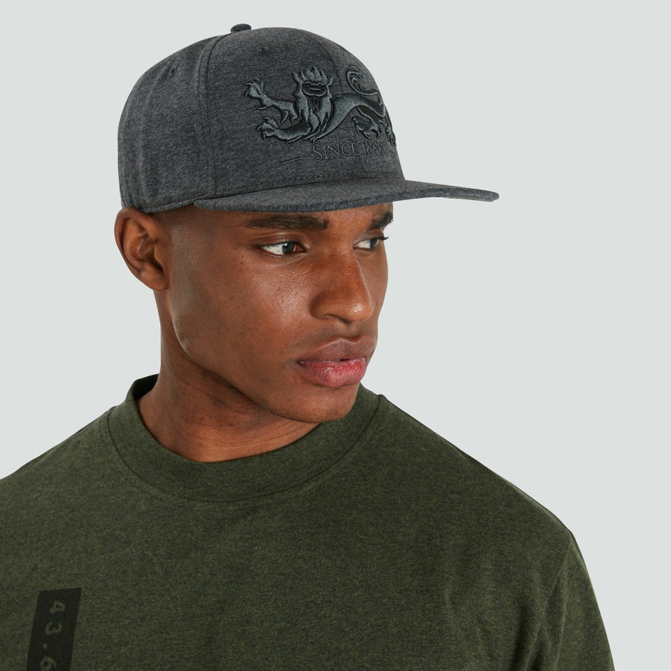 Adults Unisex British & Irish Lions Snapback Cap Grey