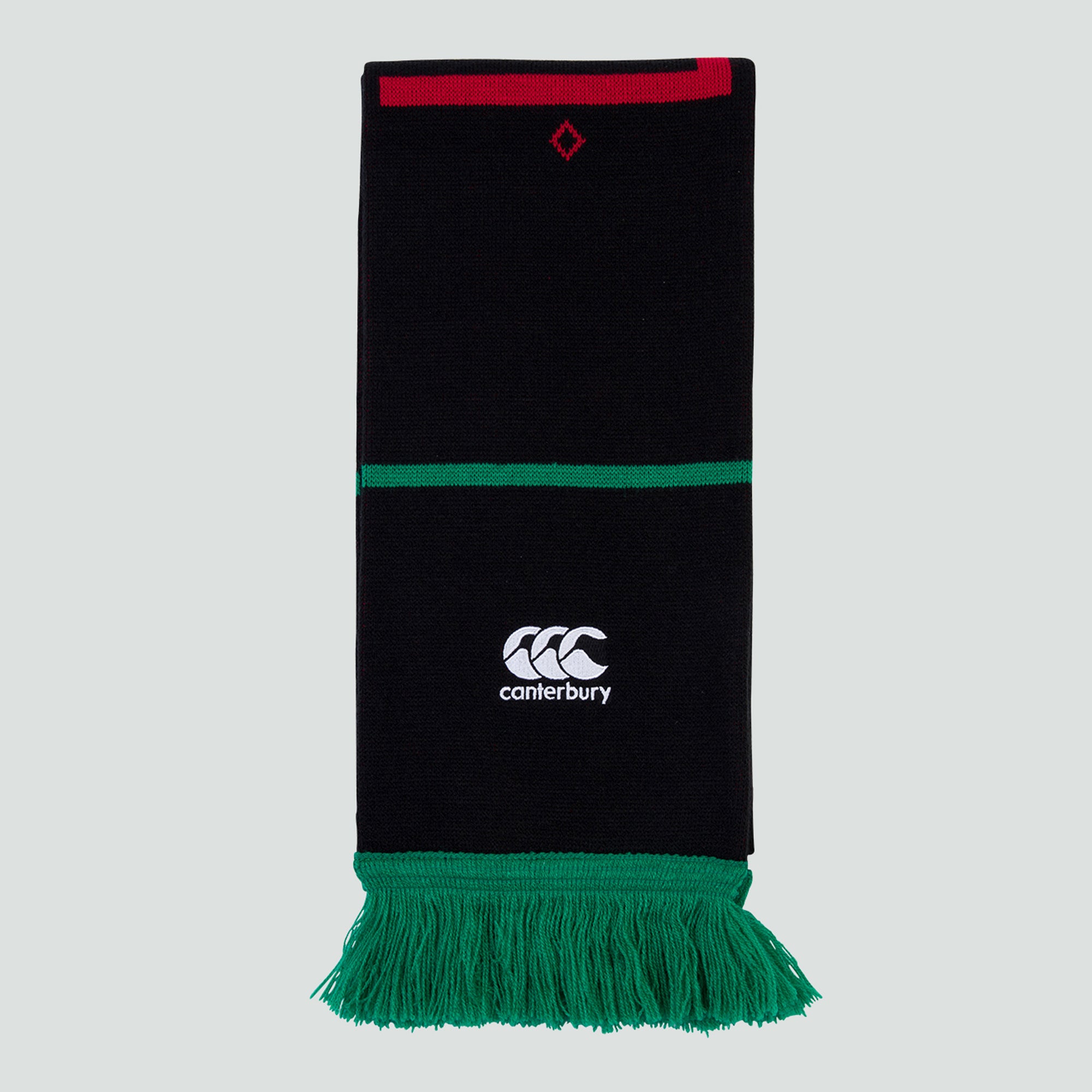 Adults Unisex British & Irish Lions Scarf Black