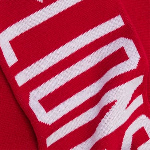 Adults Unisex British & Irish Lions Scarf Red