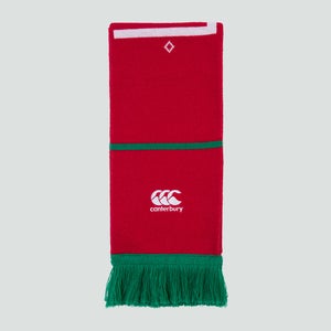 Adults Unisex British & Irish Lions Scarf Red