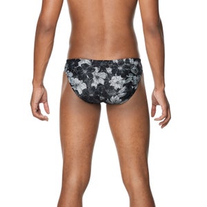 Printed Solar Brief 2"