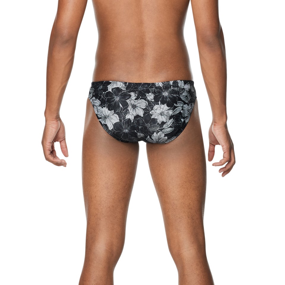 Printed Solar Brief 2"
