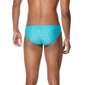 Printed Solar Brief 2"