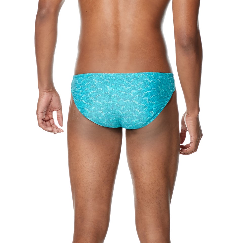 Printed Solar Brief 2"