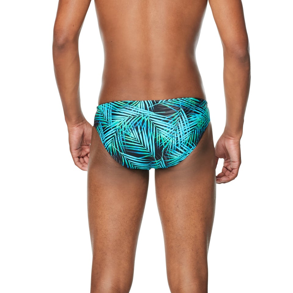 Printed Solar Brief 2"