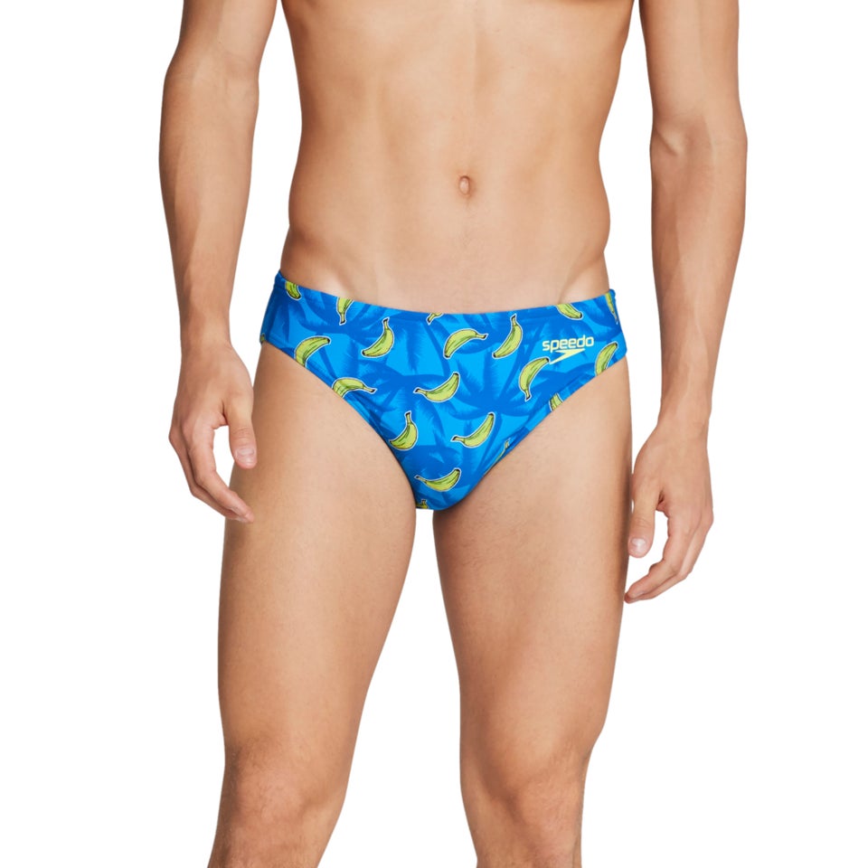 Printed Solar Brief 2"