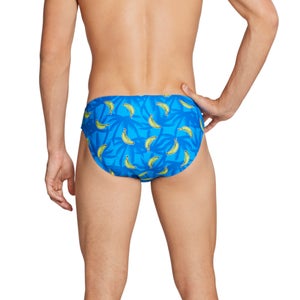 Printed Solar Brief 2"