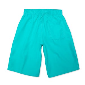 Solid Swim Volley 17"