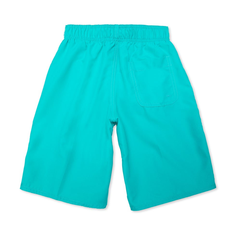 Solid Swim Volley 17"