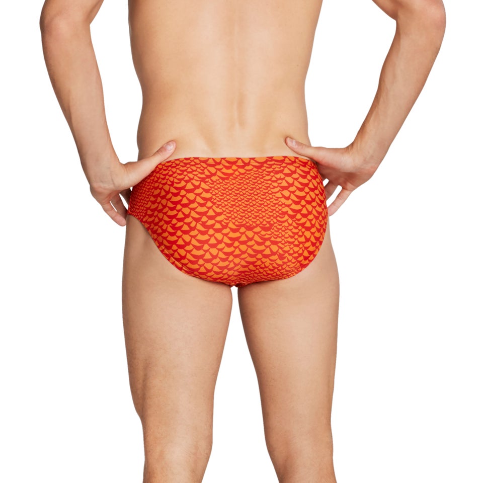 Printed Solar Brief 2"