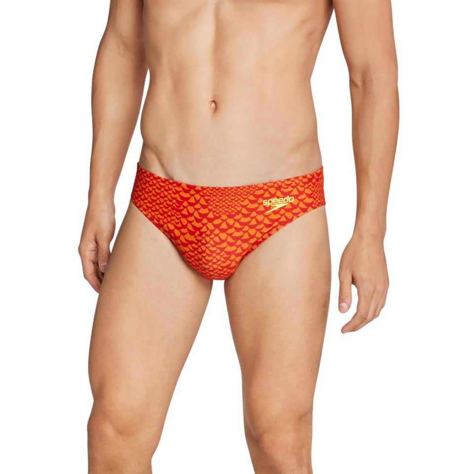 Printed Solar Brief 2"