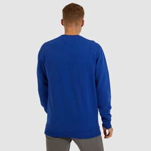 Succiso Sweatshirt Blau
