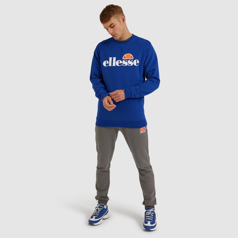 Succiso Sweatshirt Blau