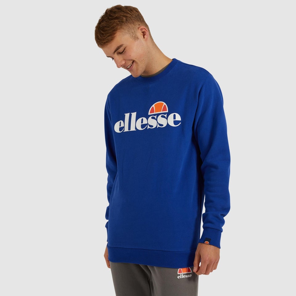 Succiso Sweatshirt Blau