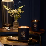 ESPA Winter Spice Standard 200g Candle_4