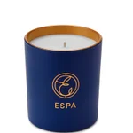 ESPA Winter Spice Standard 200g Candle_3