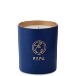 ESPA Winter Spice Standard 200g Candle_2