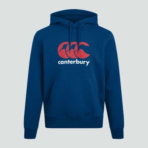 WOMENS LOGO HOODY BLUE - 6