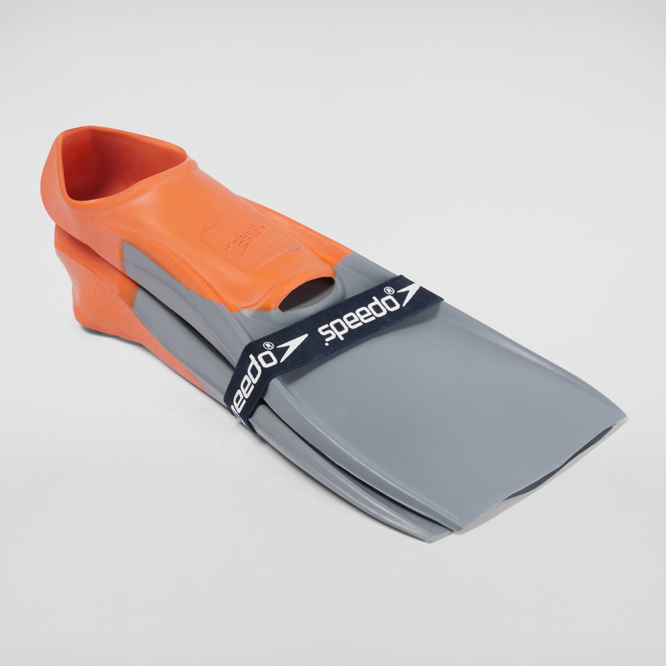 Palmes à longues lames