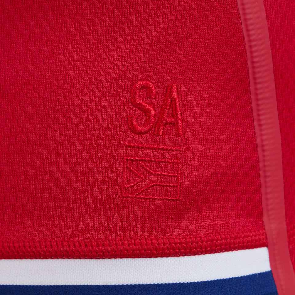 Mens Limited Edition British Irish Lions Test Jersey Red