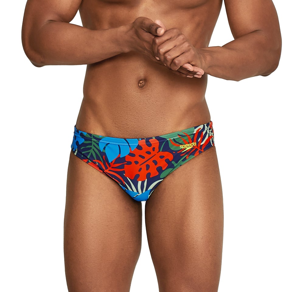 Printed Solar Brief 2"