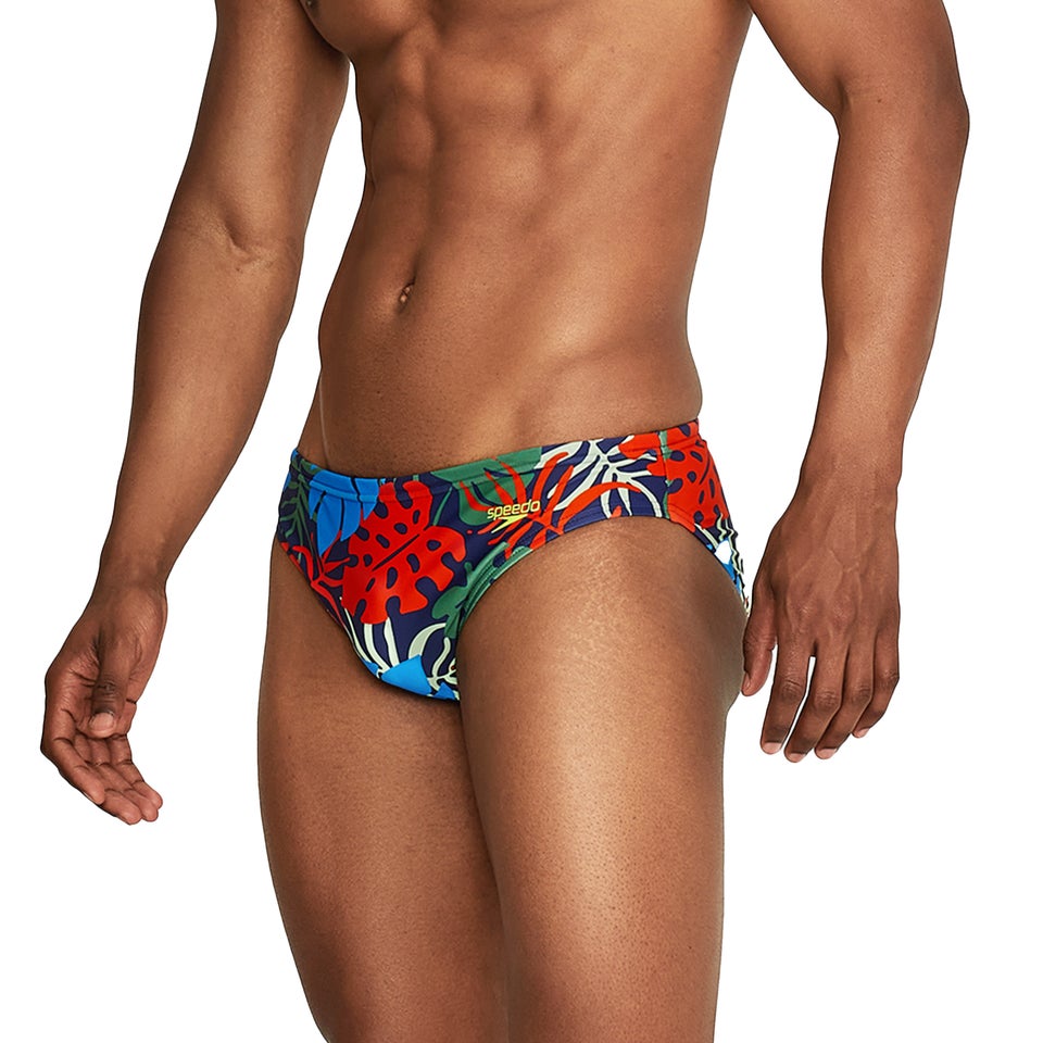 Printed Solar Brief 2"