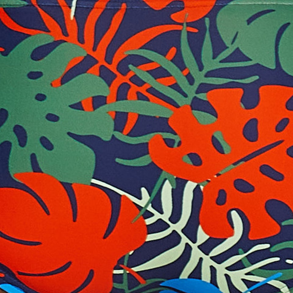 Printed Solar Brief 2"